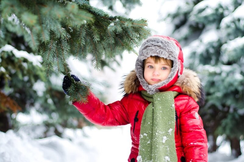 Young child in a red winter jacket, grey faux fur hood, and green scarf reaching for a snow-covered pine tree branch.