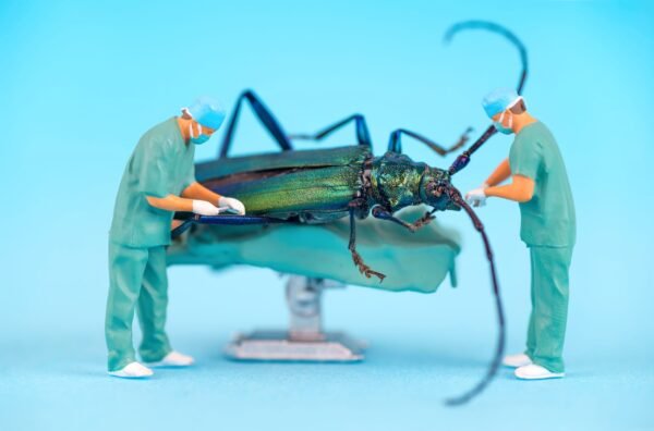 Miniature surgeon figures operating on a large iridescent green beetle on an operating table